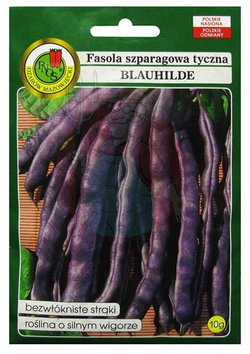 FASOLA SZPARAGOWA TYCZNA BLAUHILDE 10g | Asortyment \ NASIONA \ WARZYWA