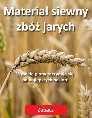 Nasiona zbóż jarych - pewność kiełkowania, gwarancja plonowania!