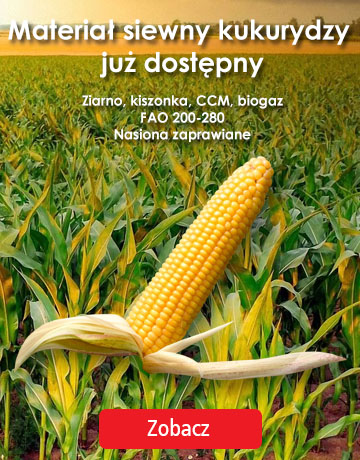 Nasiona Kukurydzy - Plony w zasięgu ręki!