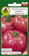 Field tomato Faworyt 1 g