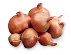 Golden Gourmet onion 0.5 kg