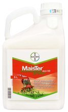 Maister Power 42,5 OD 5L