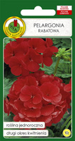 Pelargonium F1 red