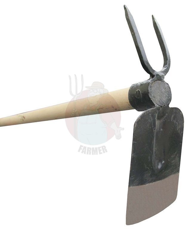 straight hoe with a fork Assortment \ TOOLS \ GARDENING TOOLS
