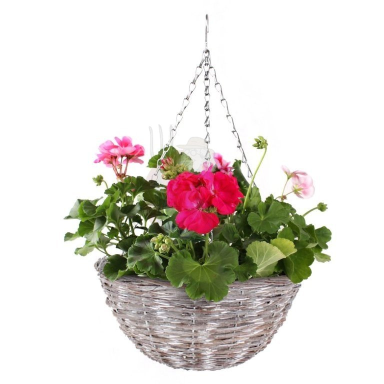 Wicker hanging basket for flowers 29x29x13 Assortment \ DECOR \ HOUSE