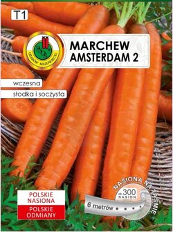 Amsterdam II carrot 6 m