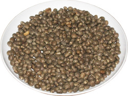 Blue lupine forage 25 kg