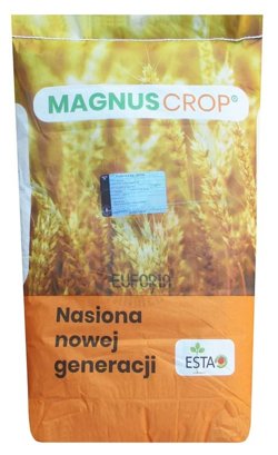 Euforia wheat