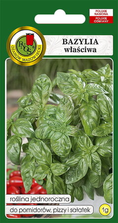 Green basil Genovese 1 g