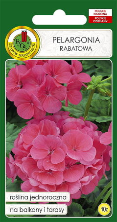 Pelargonium F1 pink