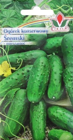 Śremski pickled cucumber 5 g