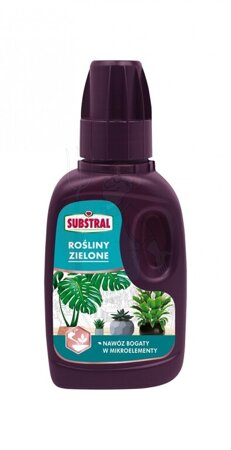 Substral Liquid fertilizer for green plants 250 ml