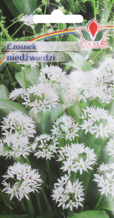 Wild garlic 0.3 g