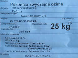 Pszenica Euforia