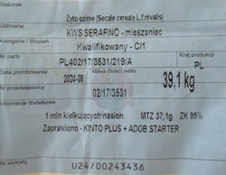 Żyto KWS Serafino - odmiana hybrydowa (cena za jednostkę siewną)