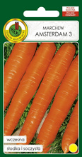 Marchew jadalna Amsterdam 3 nasiona 5 g PNOS