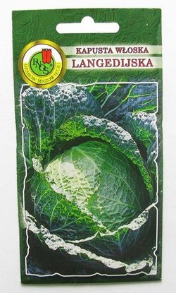 KAPUSTA WŁOSKA LANGEDIJSKA 2g