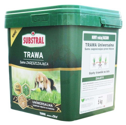 Trawa Samozagęszczająca Uniwersalna 5 kg