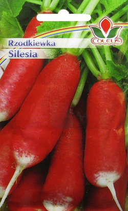 Rzodkiewka Silesia 10 g