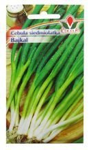 CEBULA SIEDMIOLATKA BAJKAL 2g