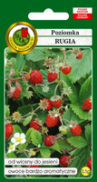 Poziomka Rugia 0,5 g