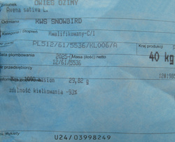 Owies ozimy KWS Snowbird