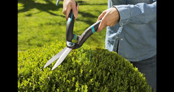 Nożyce do żywopłotu PrecisionCut