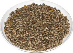 Łubin żółty paszowy (cena za kg)