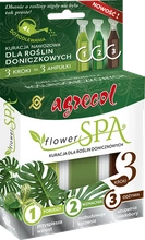 Flower SPA - kuracja dla roślin doniczkowych