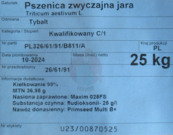 Pszenica Tybalt (przewódka)