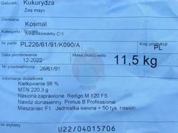 Kukurydza siewna Kosmal kwalifikat C1