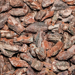 Kora sosnowa dekoracyjna 80 L