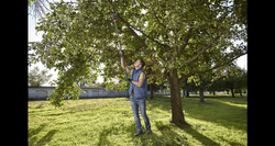 Nożyce do gałęzi i krzewów StarCut 160 plus