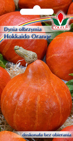 Dynia olbrzymia Hokkaido Orange 3 g nasiona Coleus