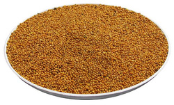 Gorczyca paszowa (cena za kg)