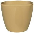 DONICZKA MARCEL 13 CAPPUCCINO