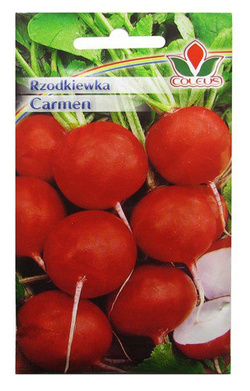 RZODKIEWKA CARMEN 10g