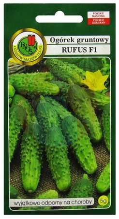 OGÓREK GRUNTOWY RUFUS 5g