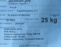 Jęczmień Kucyk