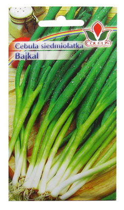 CEBULA SIEDMIOLATKA BAJKAL 2g