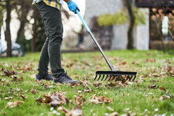 Grabie uniwersalne IDEAL PRO