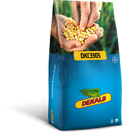 Kukurydza siewna DKC 3305 Kwalifikat C1 Dekalb