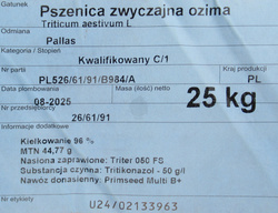 Pszenica ozima Pallas nasiona kwalifikat C1