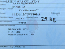 Łubin wąskolistny Boruta