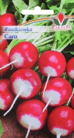 Rzodkiewka Caro 10 g