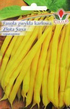 FASOLA SZPARAGOWA ZWYKŁA KARŁOWA ZŁOTA SAXA 50g