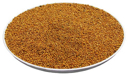 Gorczyca paszowa (cena za kg)