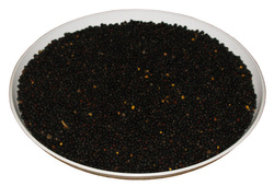 Rzepak paszowy (cena za kg)