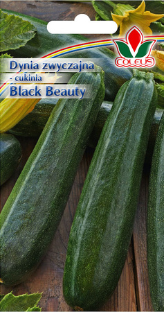 Dynia zwyczajna cukinia Black Beauty 2 g nasiona Coleus