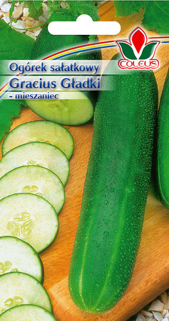 Ogórek sałatkowy Gracius gładki 4 g nasiona Coleus